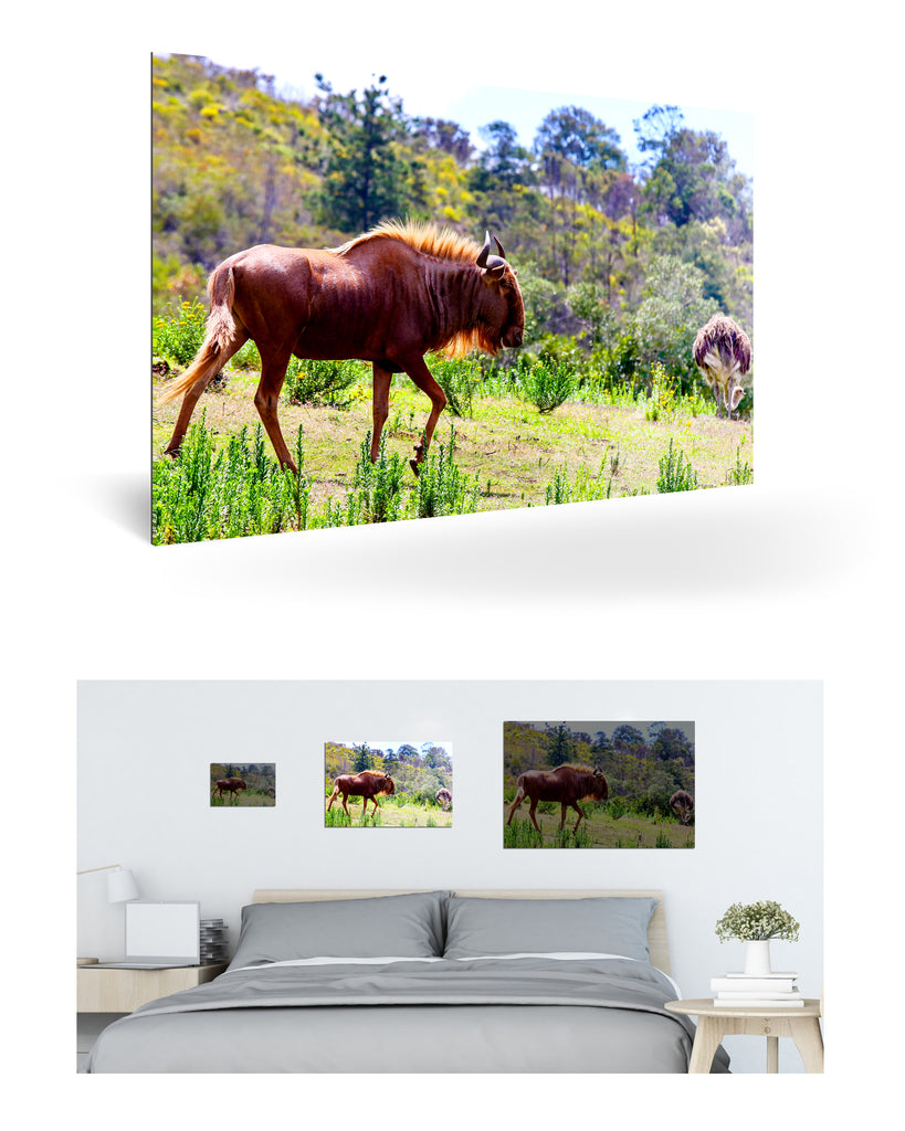 Mossel Bay, Südafrika