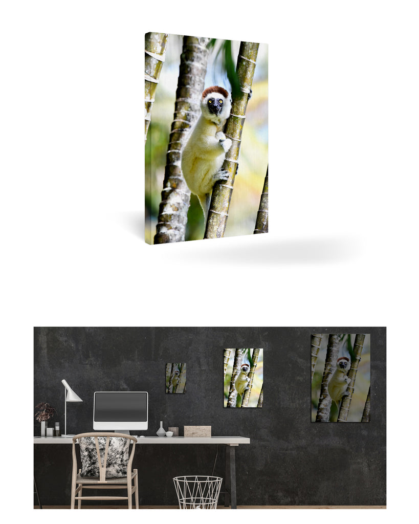 Tolagnaro, Madagaskar