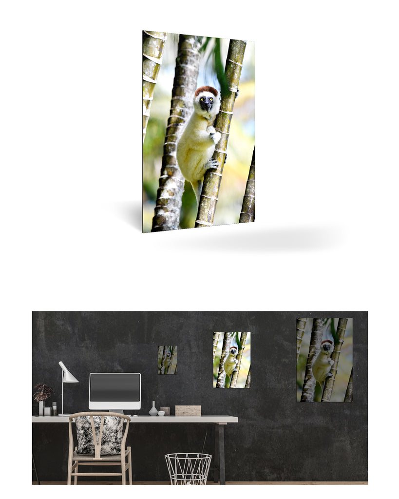 Tolagnaro, Madagaskar