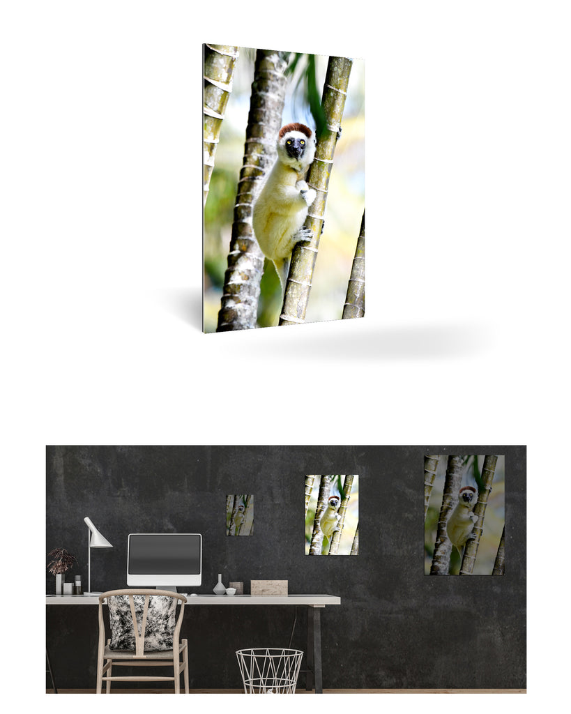 Tolagnaro, Madagaskar