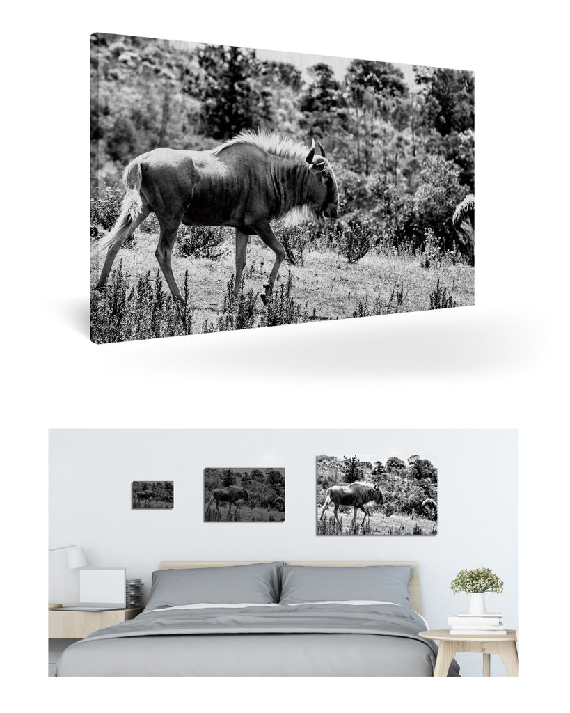 Mossel Bay, Südafrika