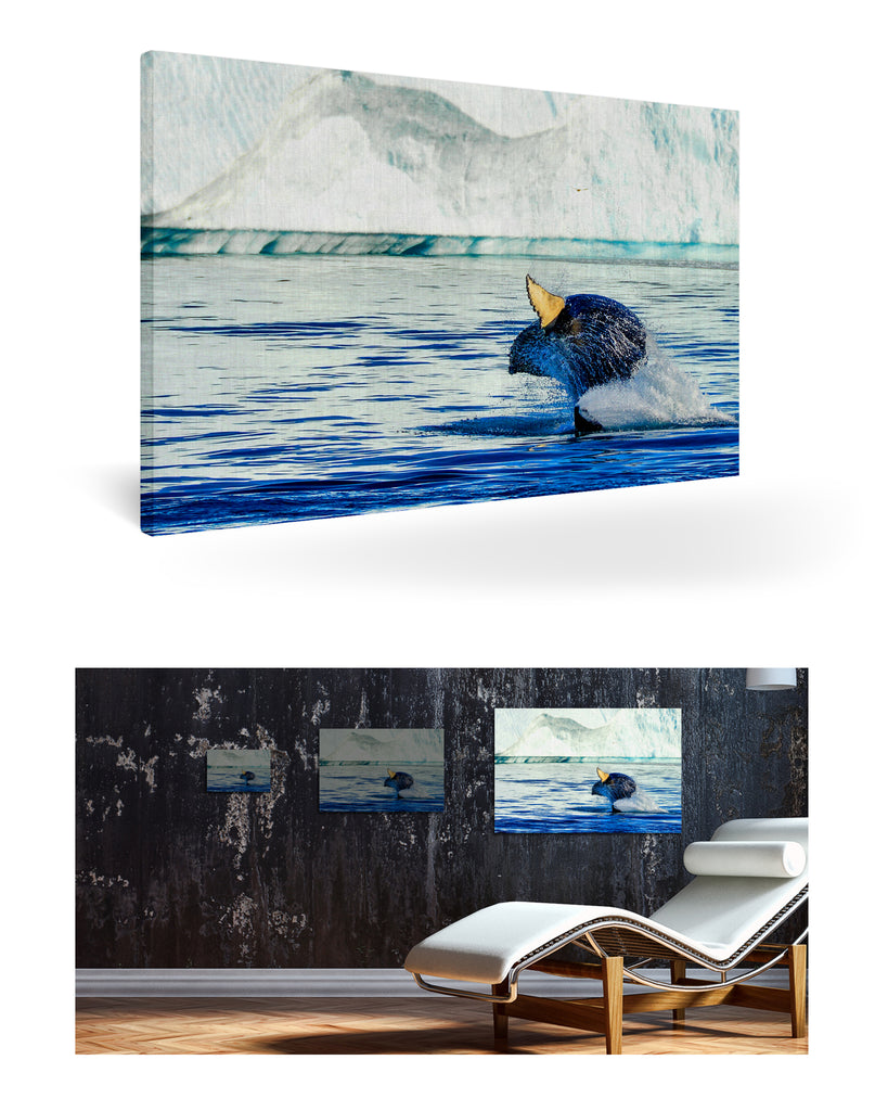 Ilulissat, Grönland