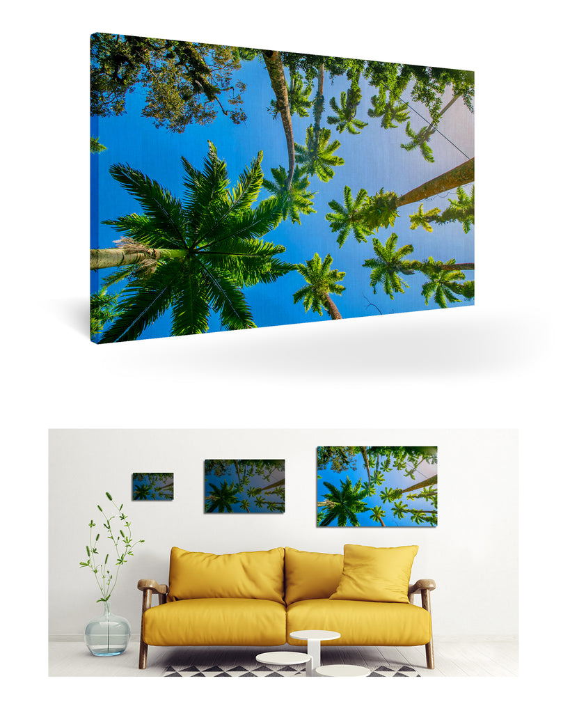 Puerto Limón, Costa Rica