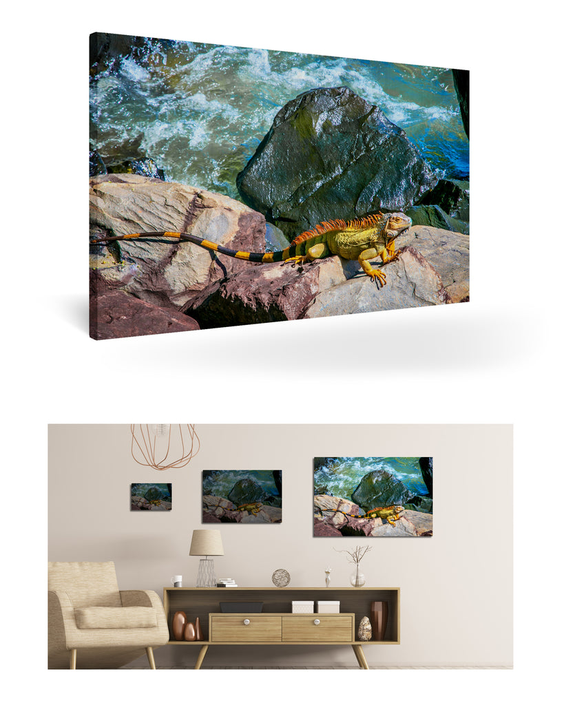 Puerto Limón, Costa Rica