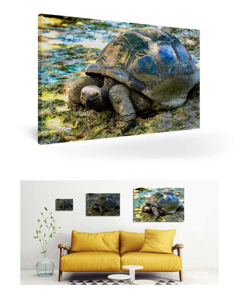 La Digue, Seychellen