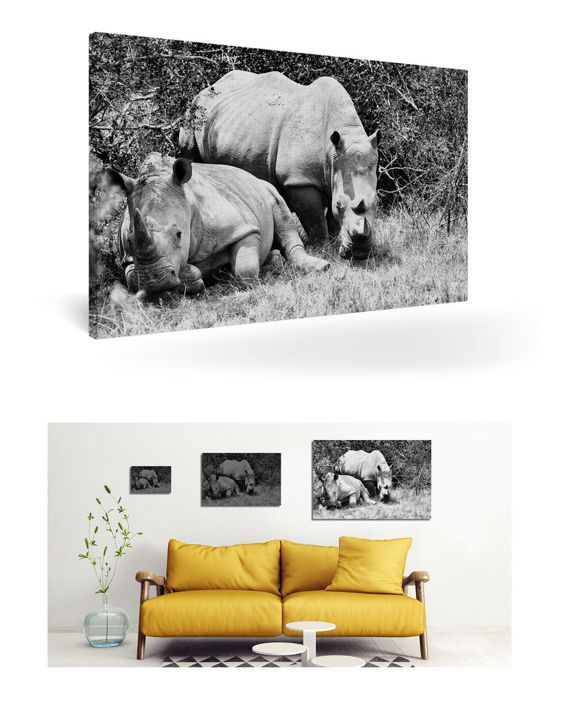 Port Elizabeth, Südafrika