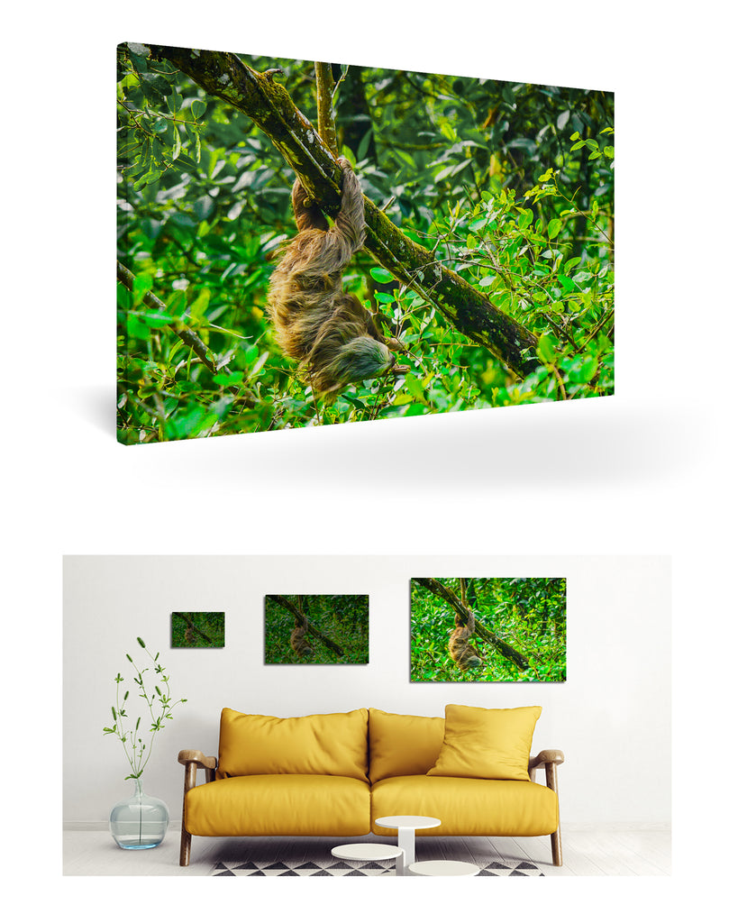 Puerto Limón, Costa Rica