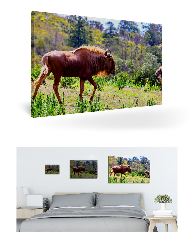 Mossel Bay, Südafrika