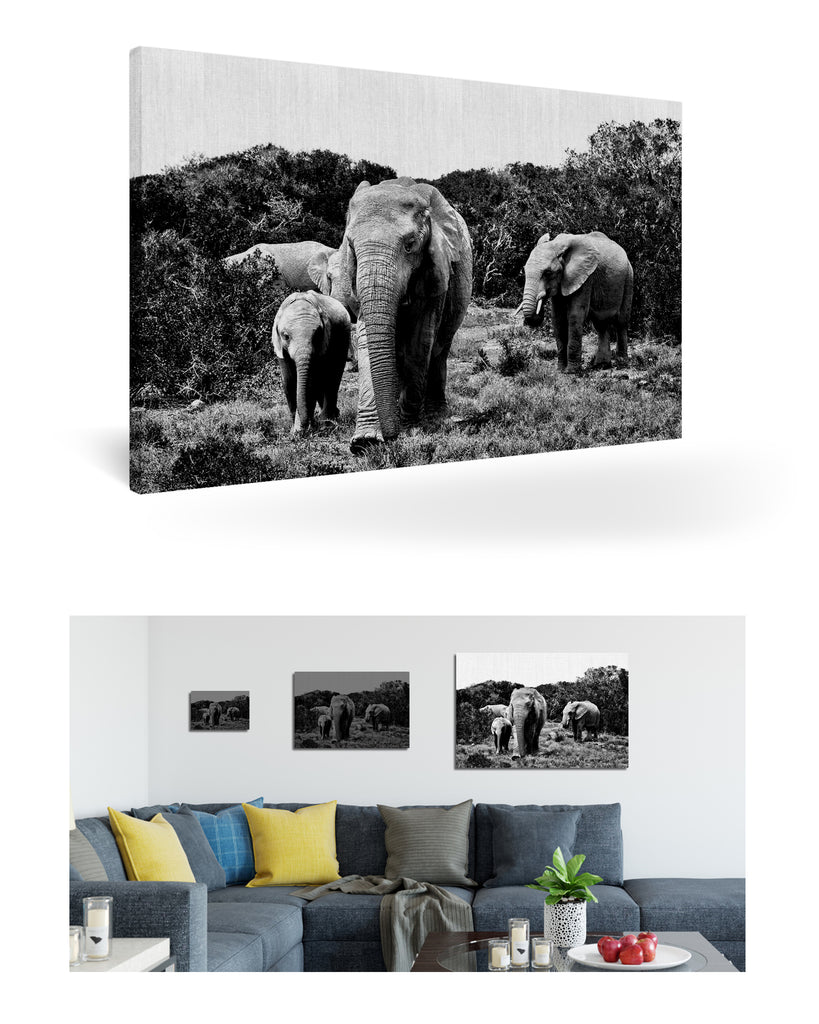 Port Elizabeth, Südafrika