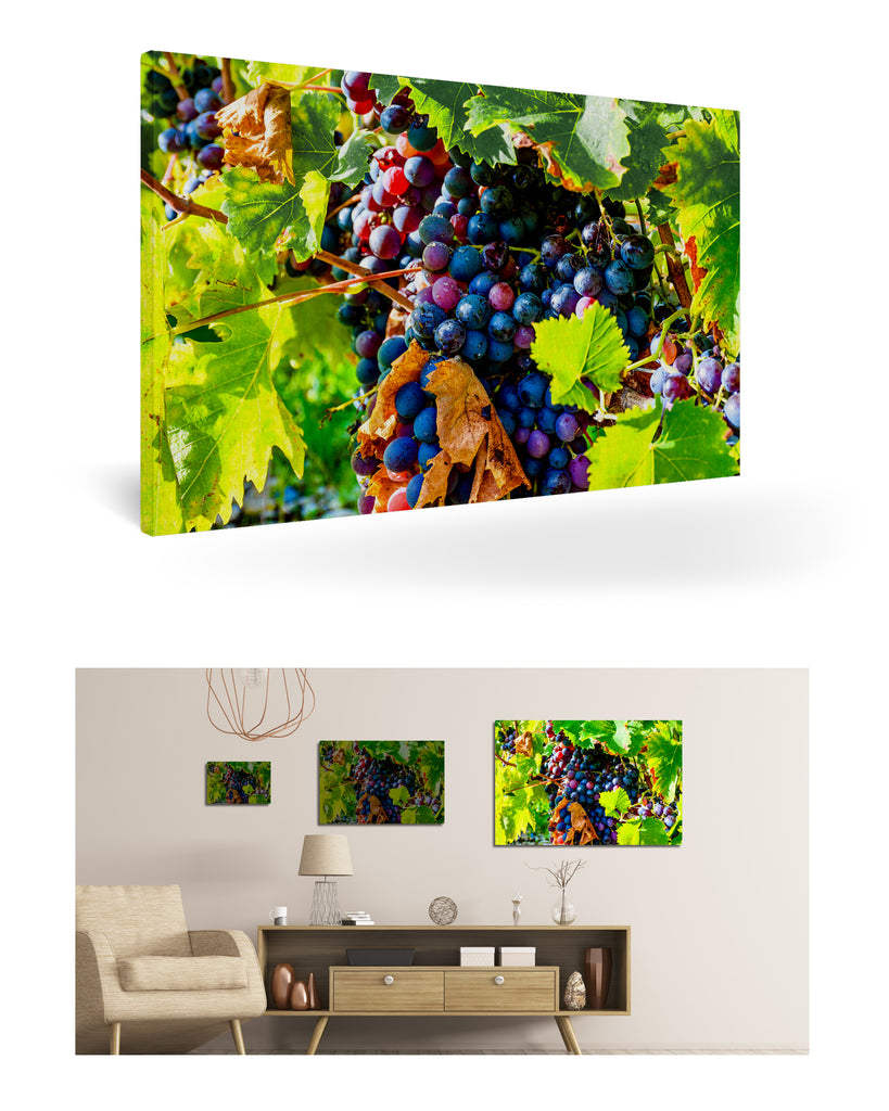 Bordeaux, Frankreich