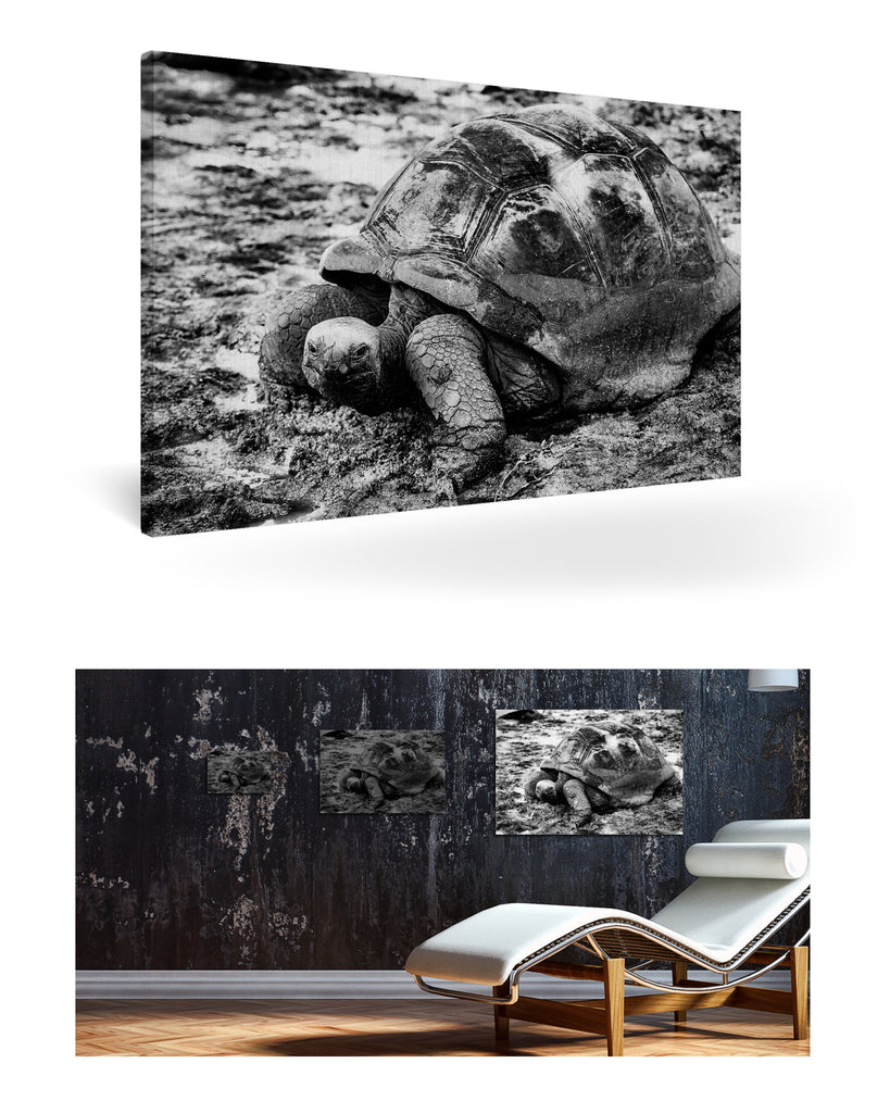 La Digue, Seychellen