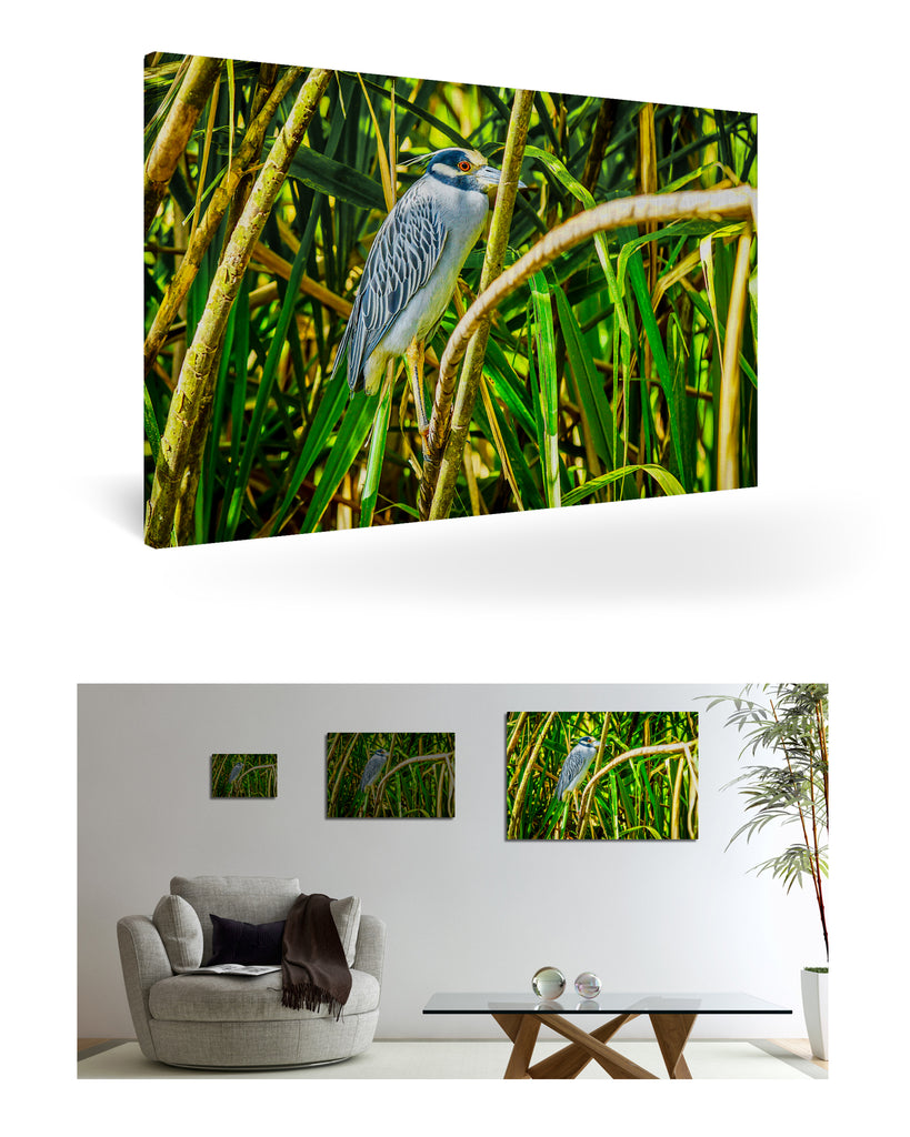 Puerto Limón, Costa Rica