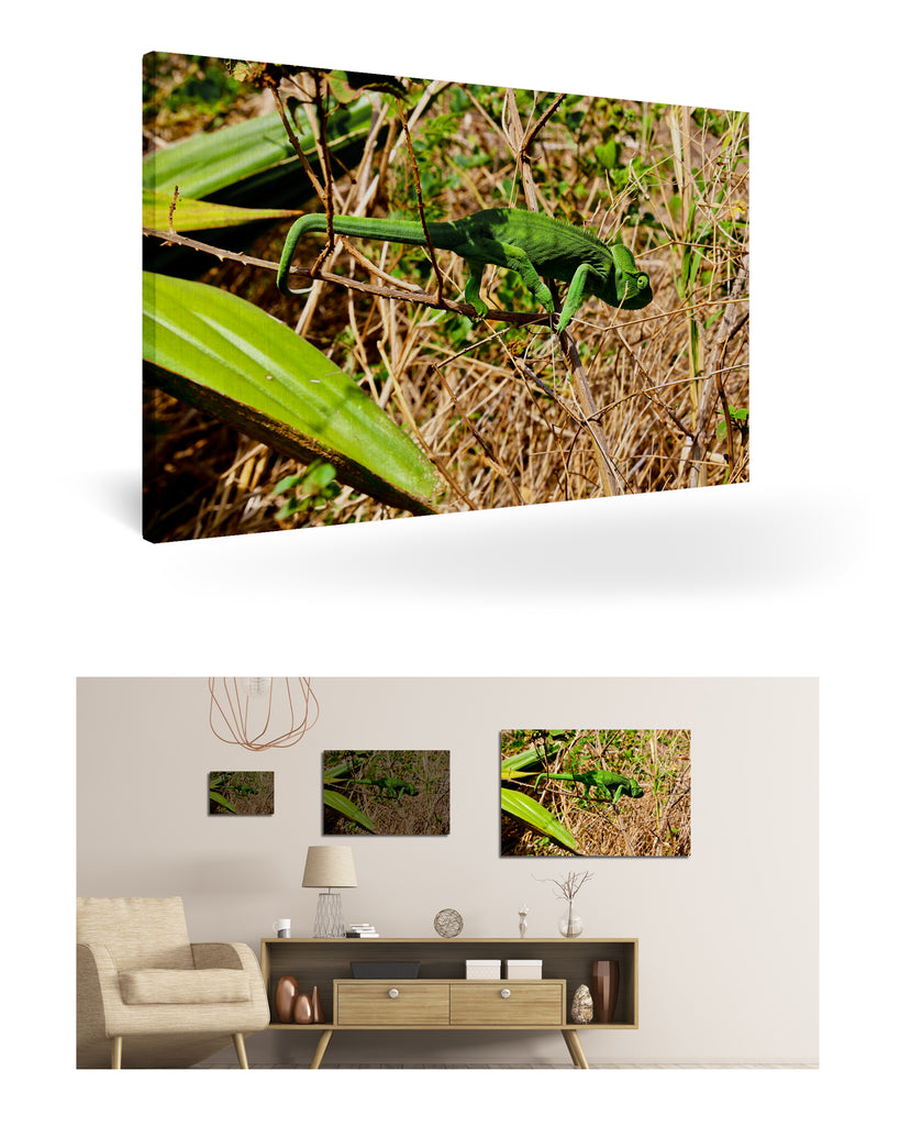 Antsiranana, Madagaskar