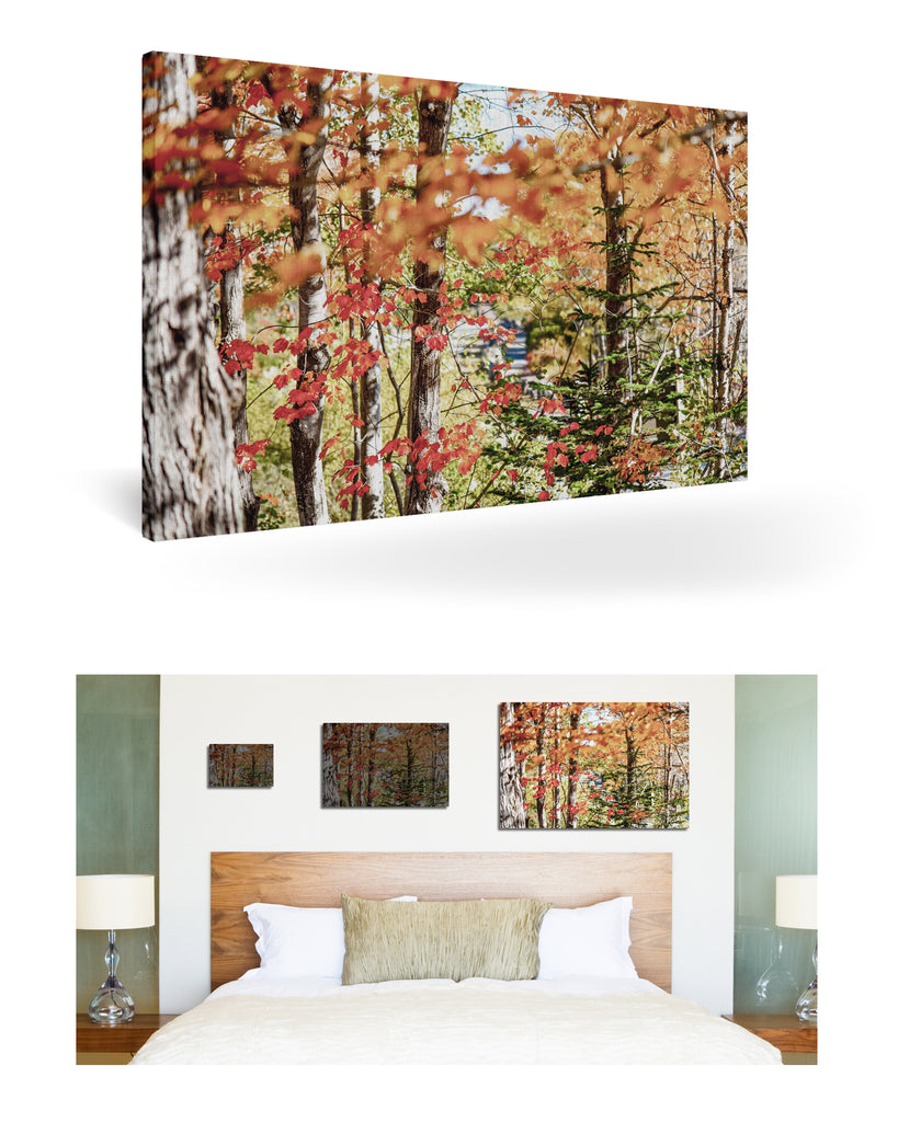 Bar Harbor, Vereinigte Staaten