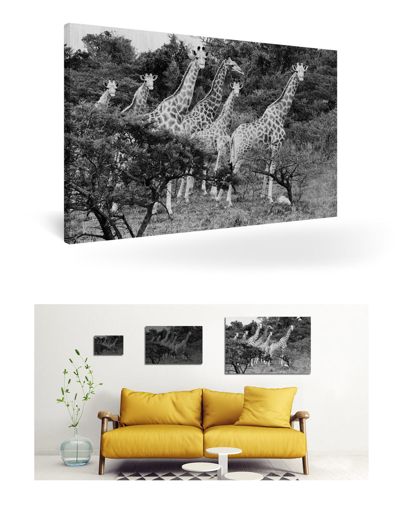 East London, Südafrika