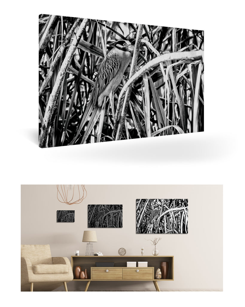 Puerto Limón, Costa Rica