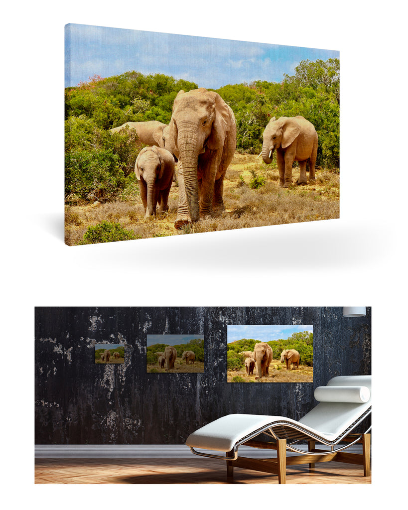 Port Elizabeth, Südafrika