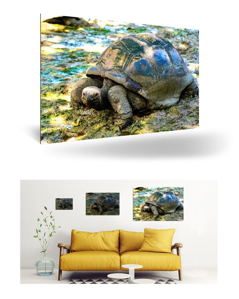 La Digue, Seychellen