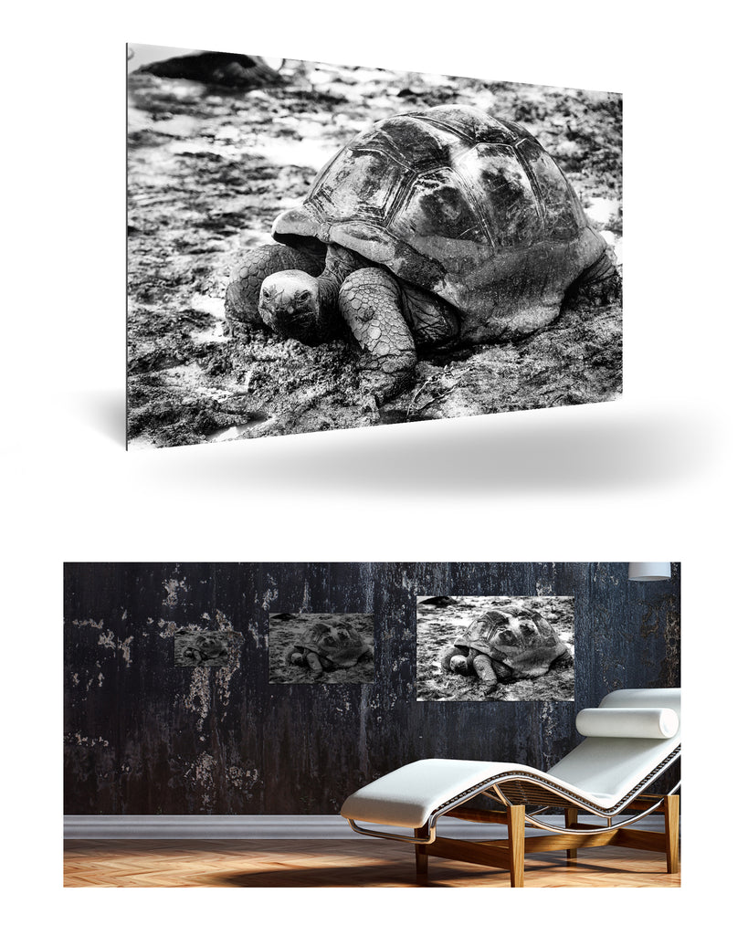 La Digue, Seychellen