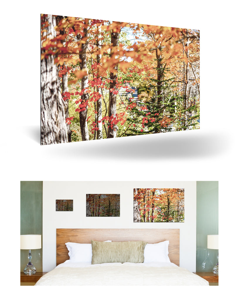 Bar Harbor, Vereinigte Staaten