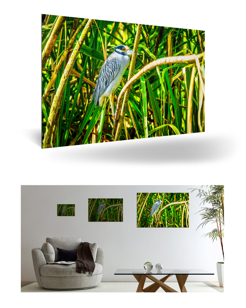 Puerto Limón, Costa Rica