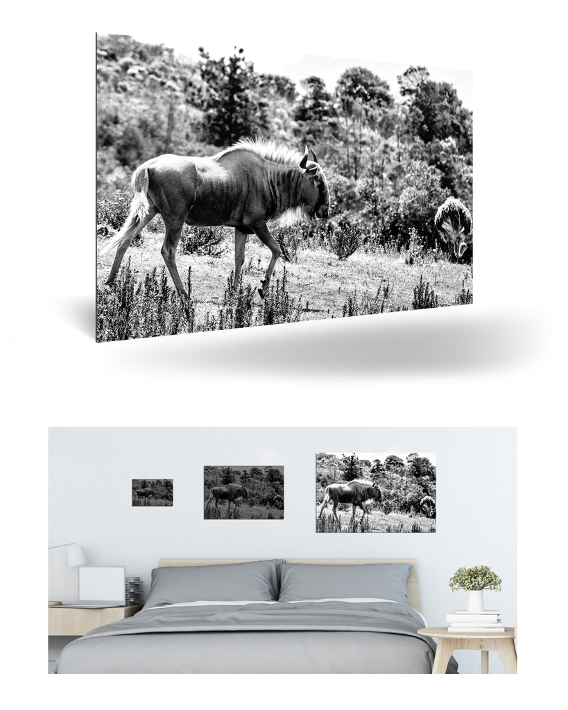 Mossel Bay, Südafrika