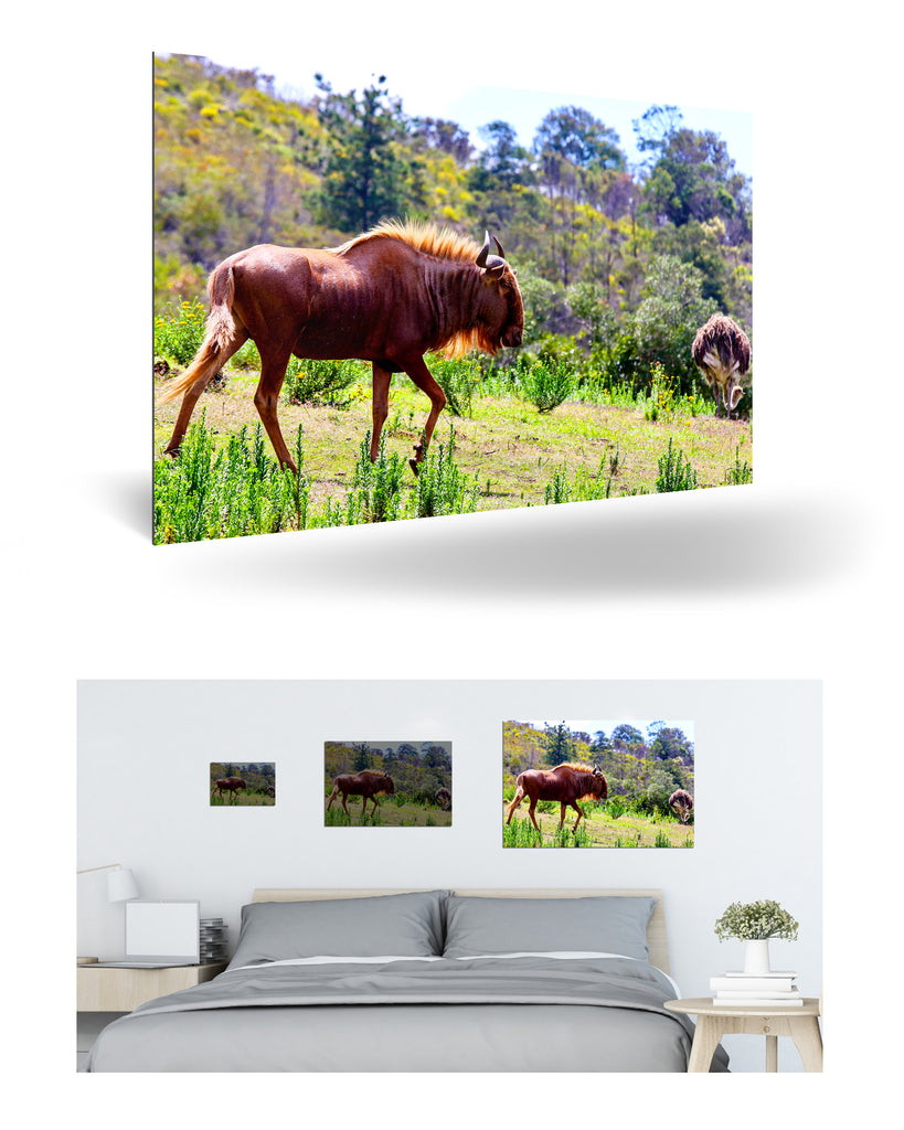 Mossel Bay, Südafrika