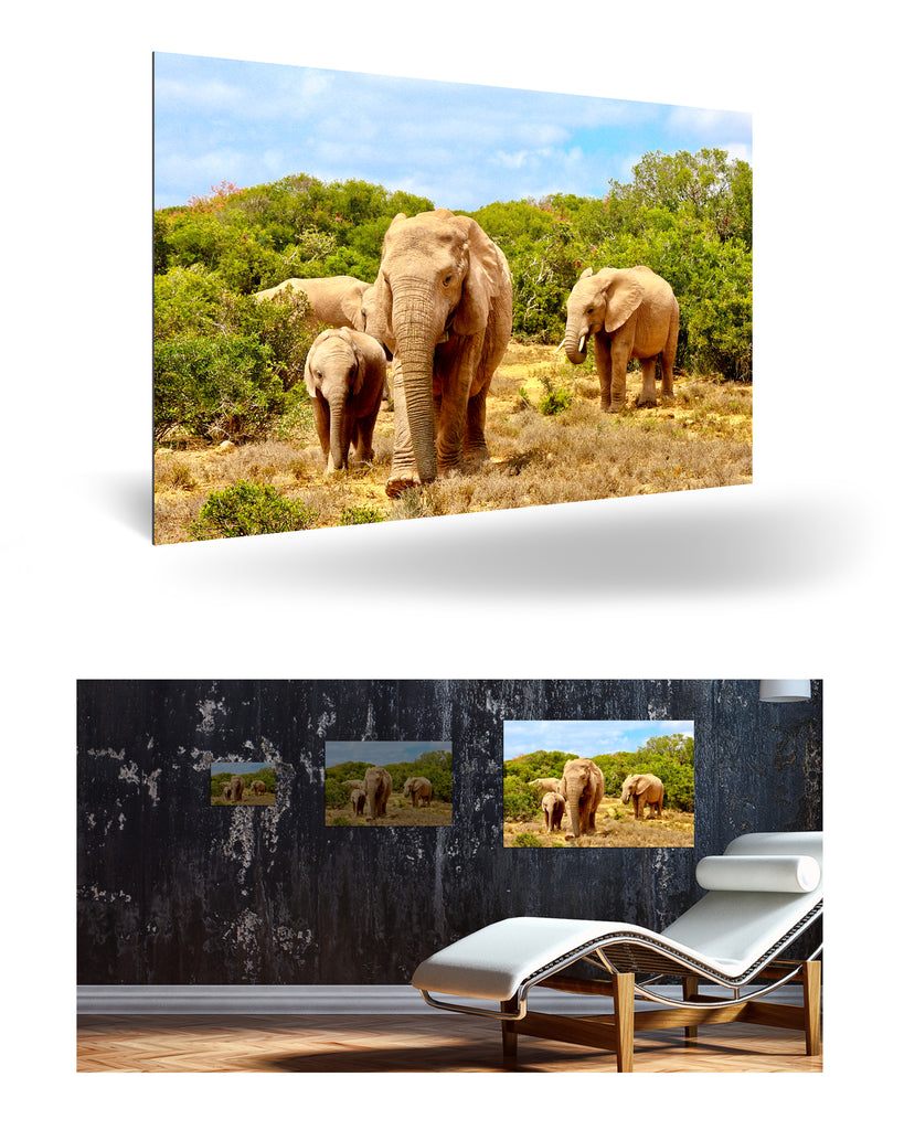 Port Elizabeth, Südafrika