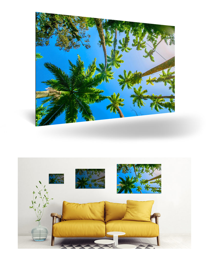 Puerto Limón, Costa Rica