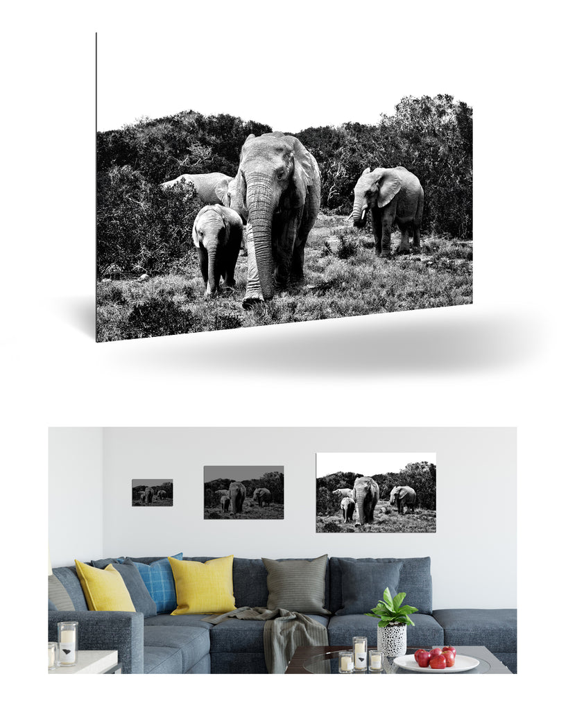 Port Elizabeth, Südafrika