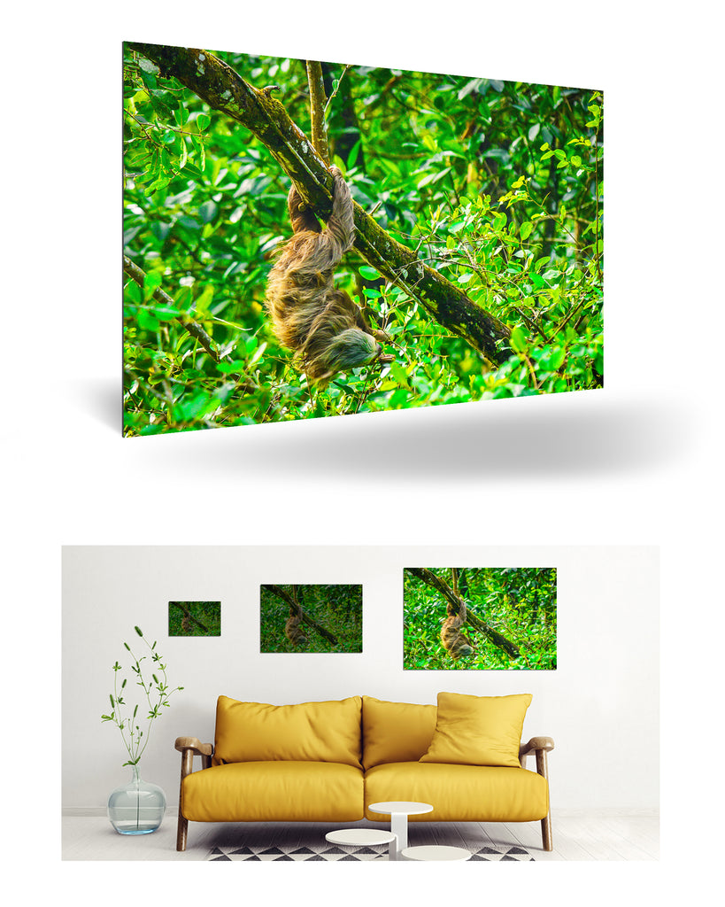 Puerto Limón, Costa Rica