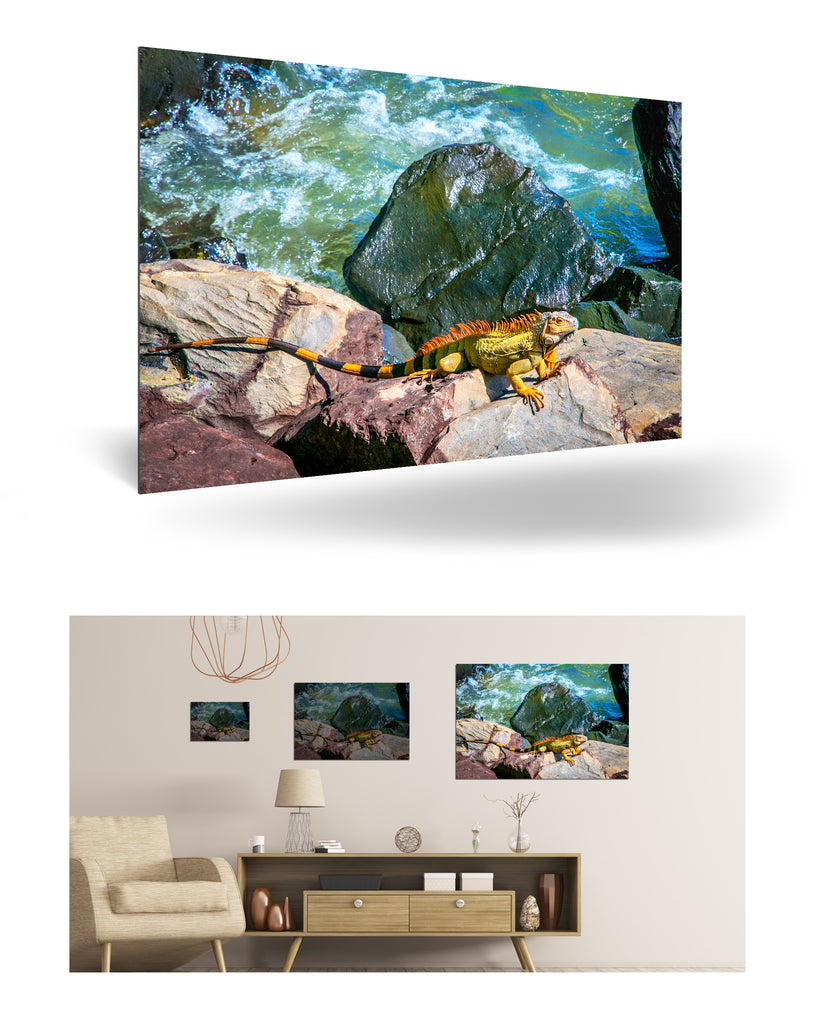 Puerto Limón, Costa Rica