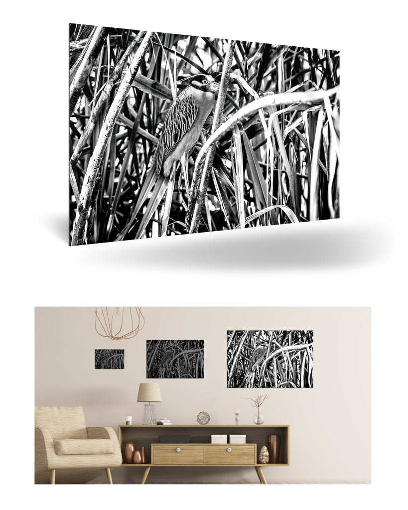 Puerto Limón, Costa Rica