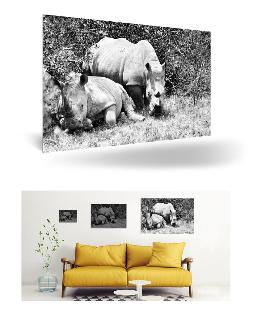 Port Elizabeth, Südafrika