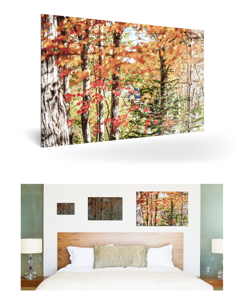 Bar Harbor, Vereinigte Staaten