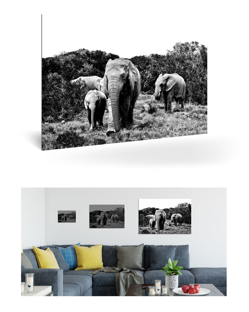 Port Elizabeth, Südafrika