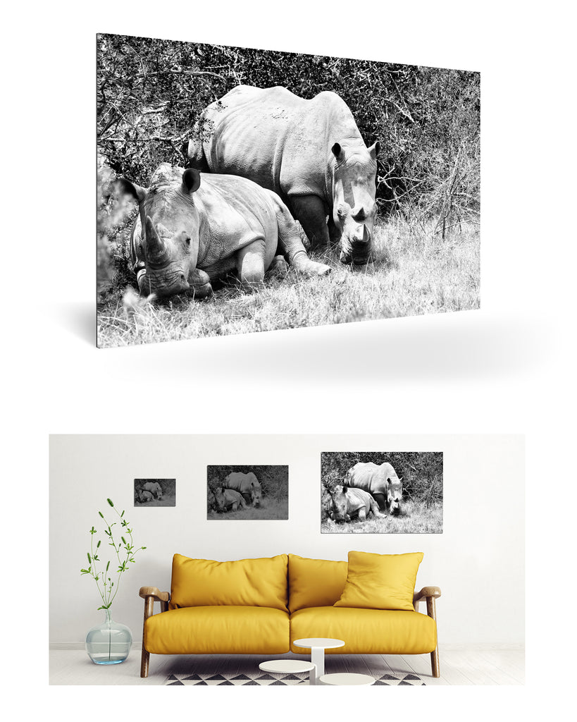 Port Elizabeth, Südafrika