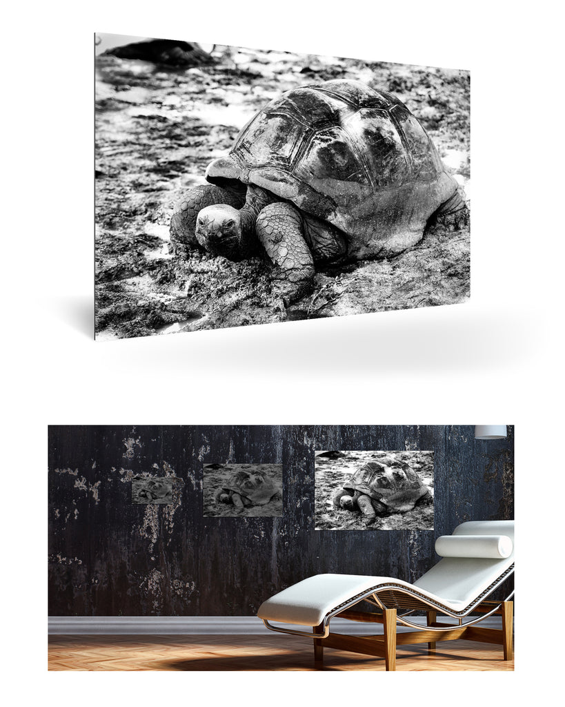 La Digue, Seychellen