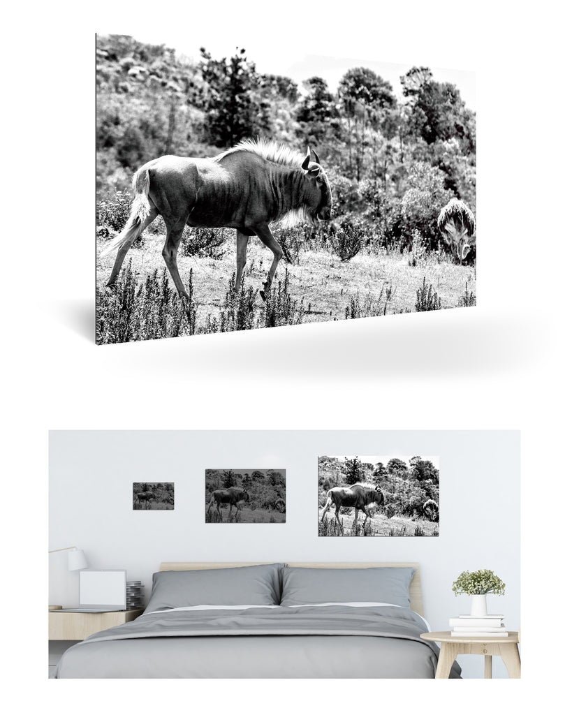 Mossel Bay, Südafrika