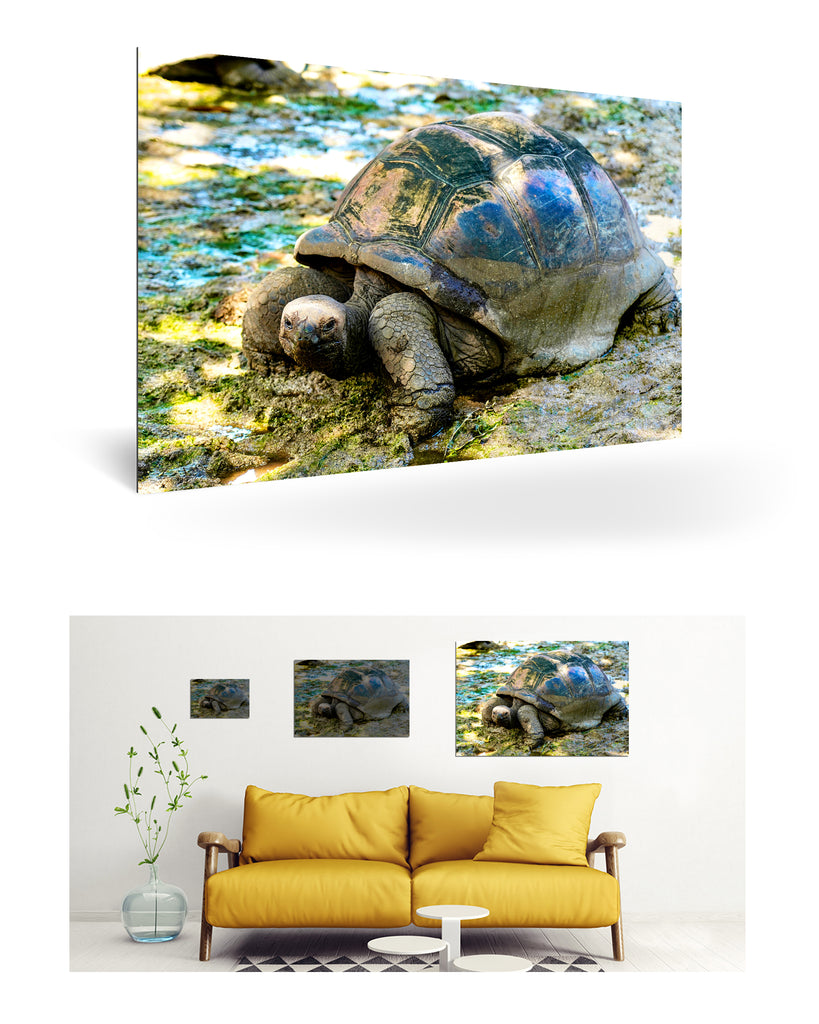 La Digue, Seychellen