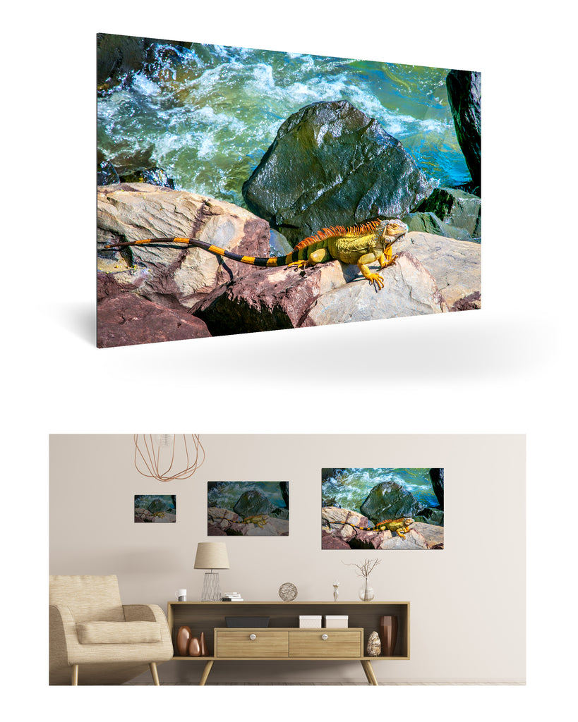 Puerto Limón, Costa Rica