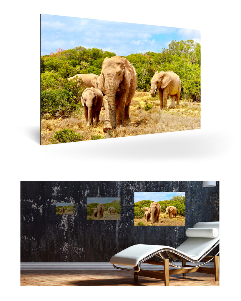 Port Elizabeth, Südafrika