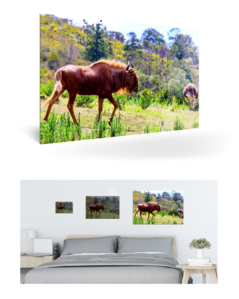 Mossel Bay, Südafrika