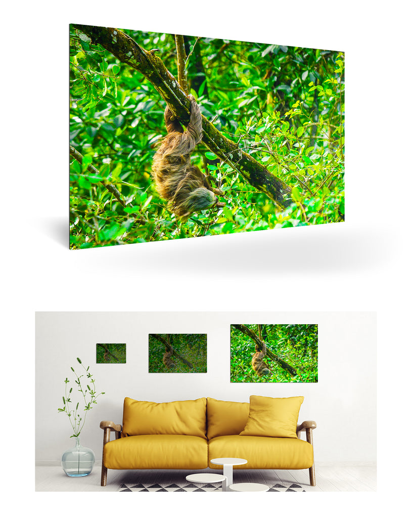 Puerto Limón, Costa Rica