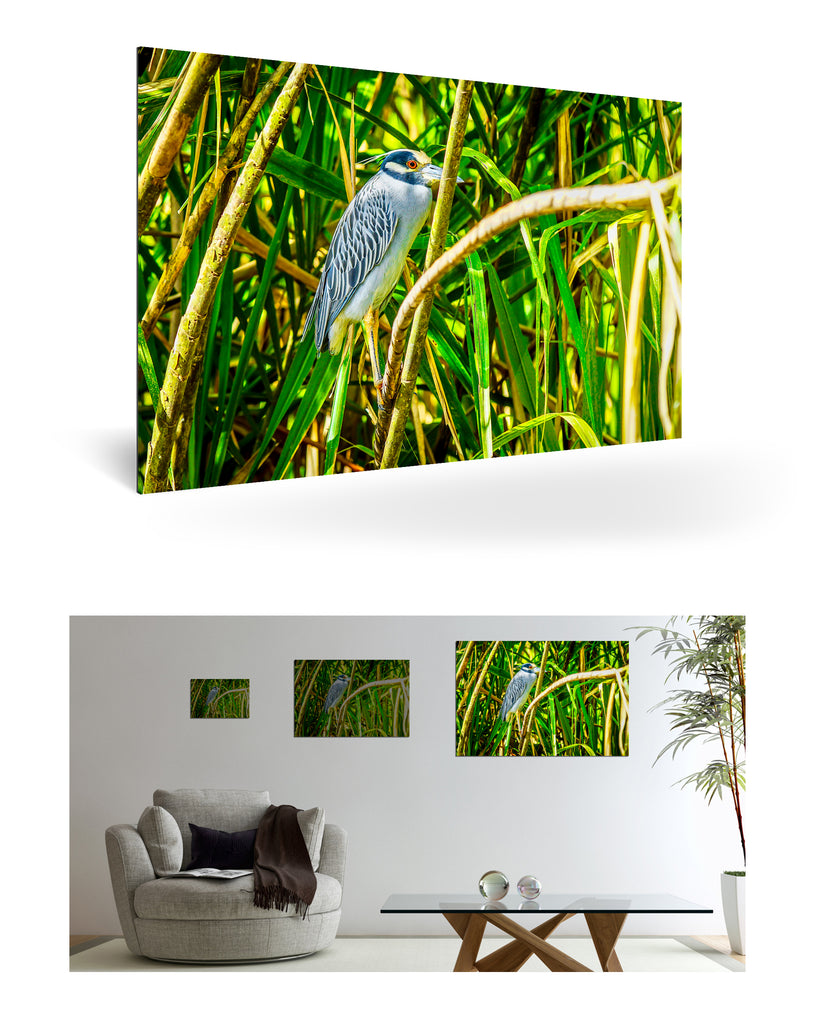 Puerto Limón, Costa Rica