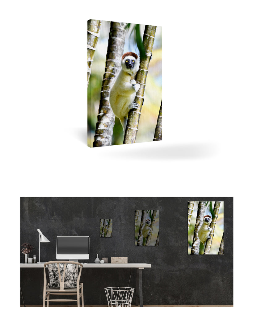 Tolagnaro, Madagaskar