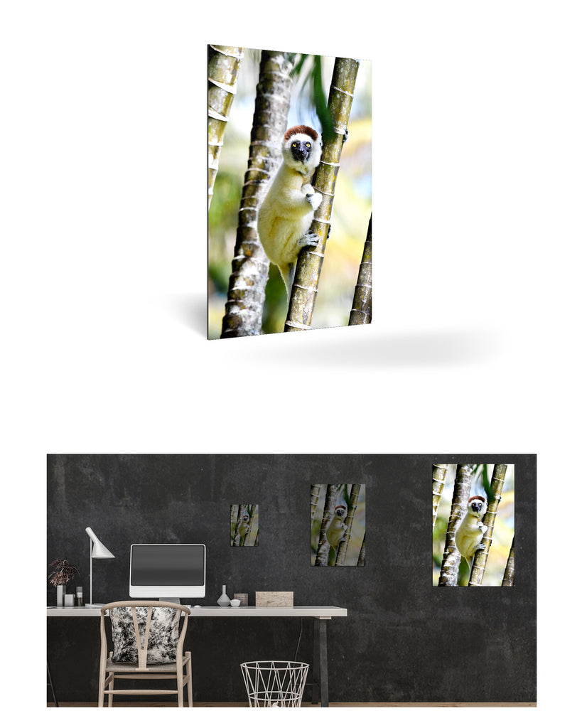 Tolagnaro, Madagaskar