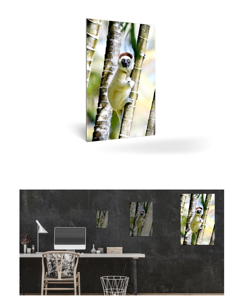 Tolagnaro, Madagaskar