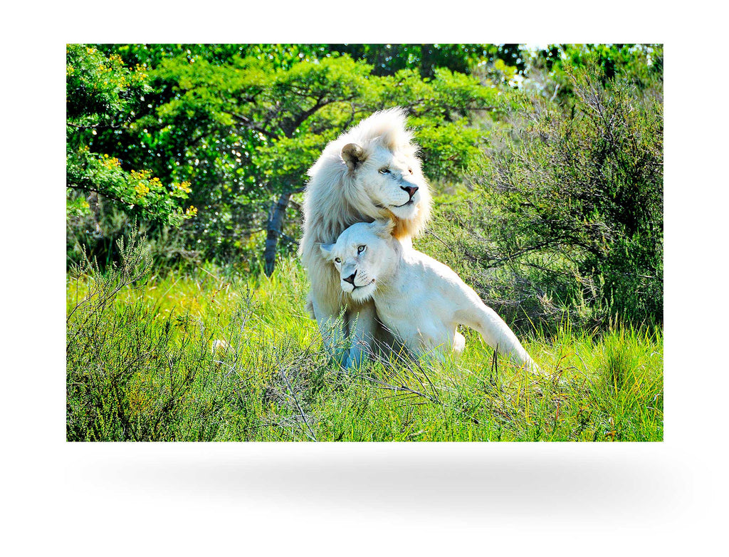 East London, Südafrika