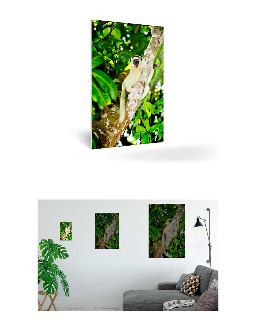 Tolagnaro, Madagaskar